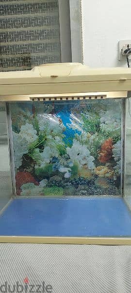 fish tank for sell 5