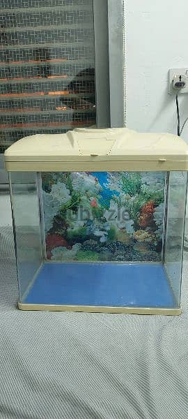 fish tank for sell 6