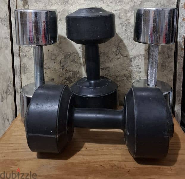 Stainless Steel Dumbells 10KG - 2 Pcs and Plastis Dumbells 5KG - 2 Pcs 3