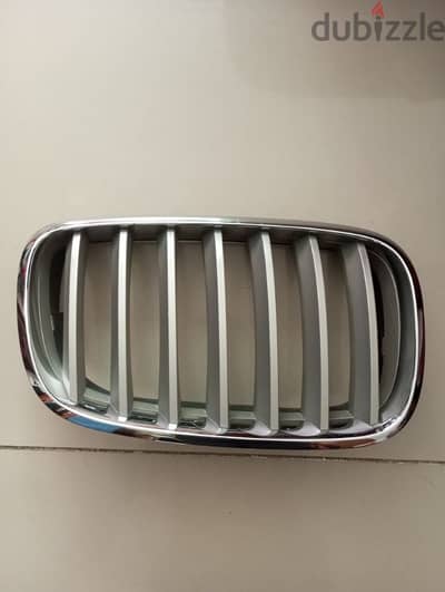 Grill BMW X6