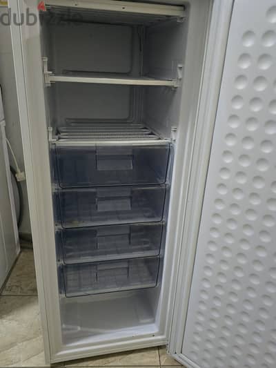 BEC upright freezer for sale