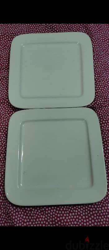 high brand new model plates both large one 0