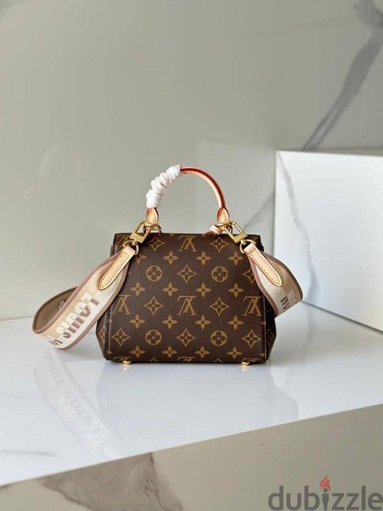 lv side bag 1