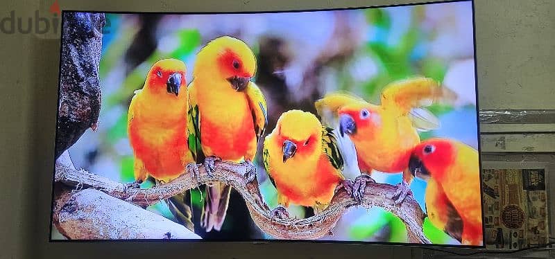 SAMSUNG QLED 55 INCH 4K SMART CURVED MODEL VERY GOOD CONDITION 1