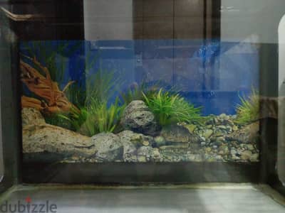 Big Aquarium For Sale