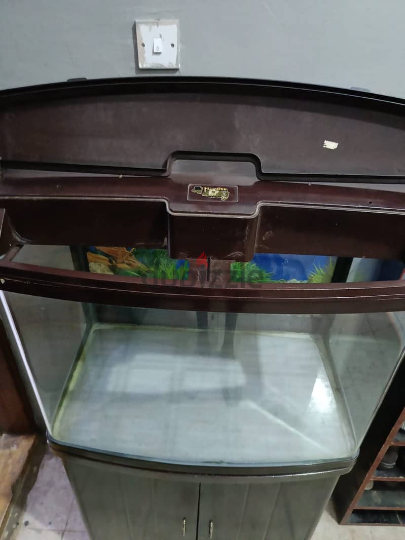 Big Aquarium For Sale 2