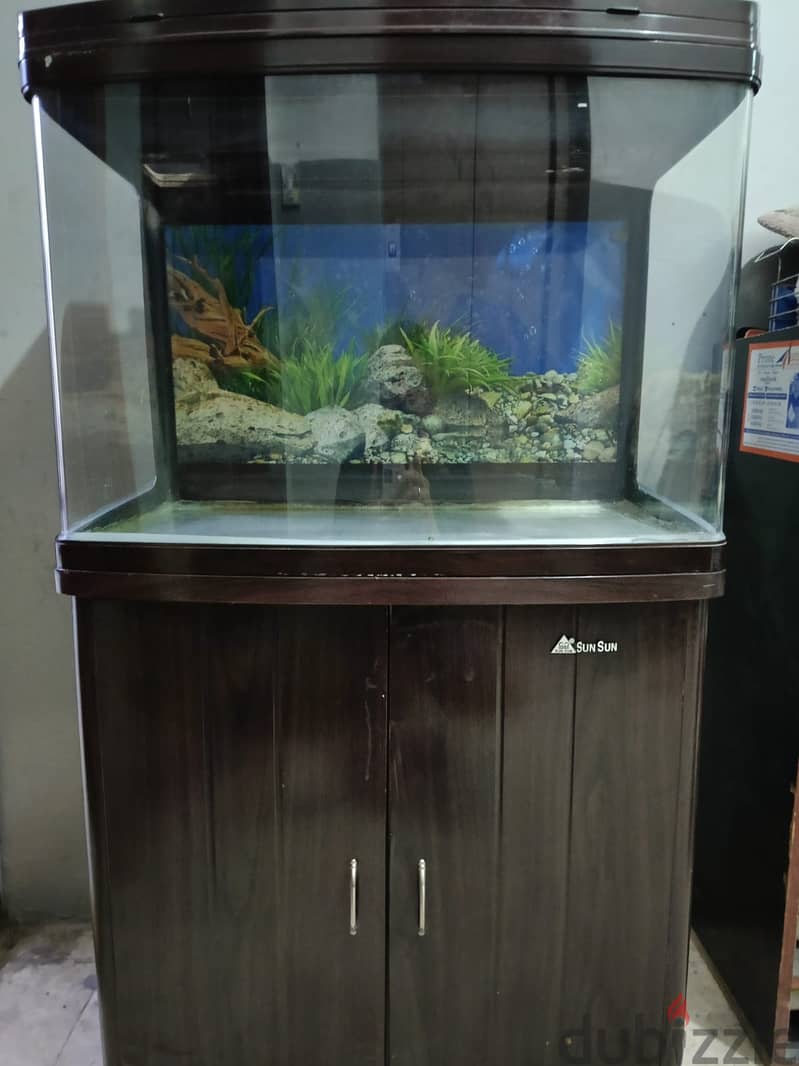 Big Aquarium For Sale 3