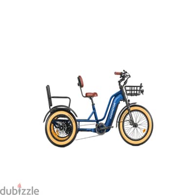 750W 48V Greattan L Trike Fat Tire Electric Bike