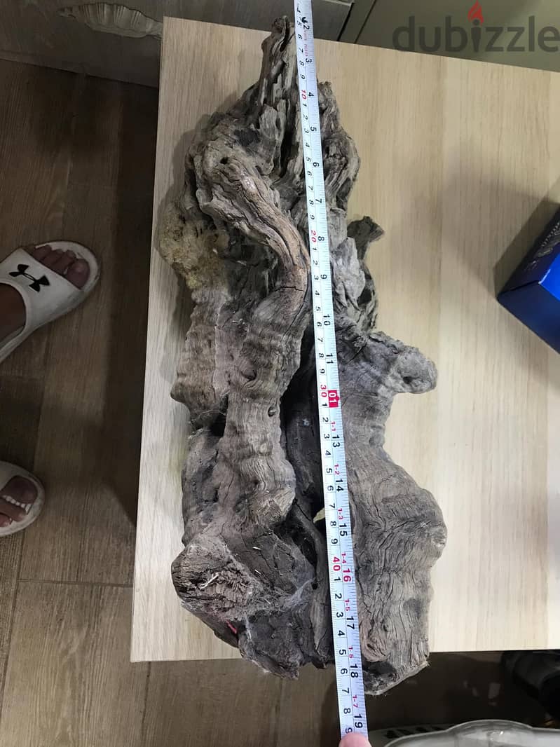 49CMx19cm BIG DRIFTWOOD 1