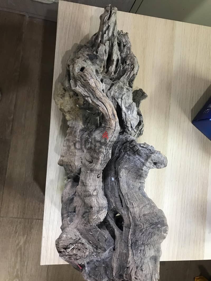 49CMx19cm BIG DRIFTWOOD 2