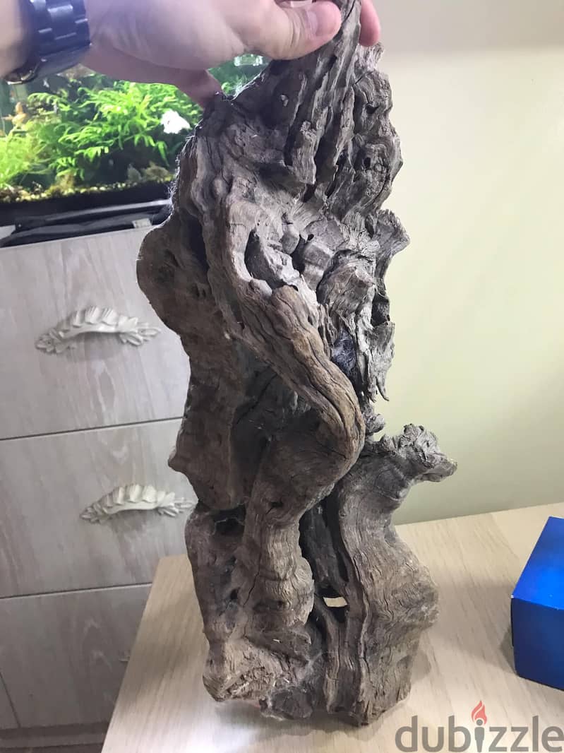 49CMx19cm BIG DRIFTWOOD 3