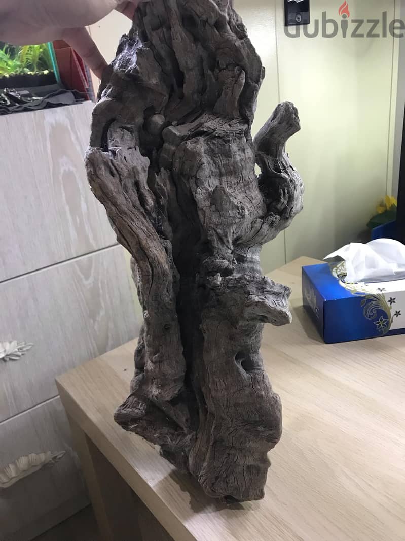 49CMx19cm BIG DRIFTWOOD 7