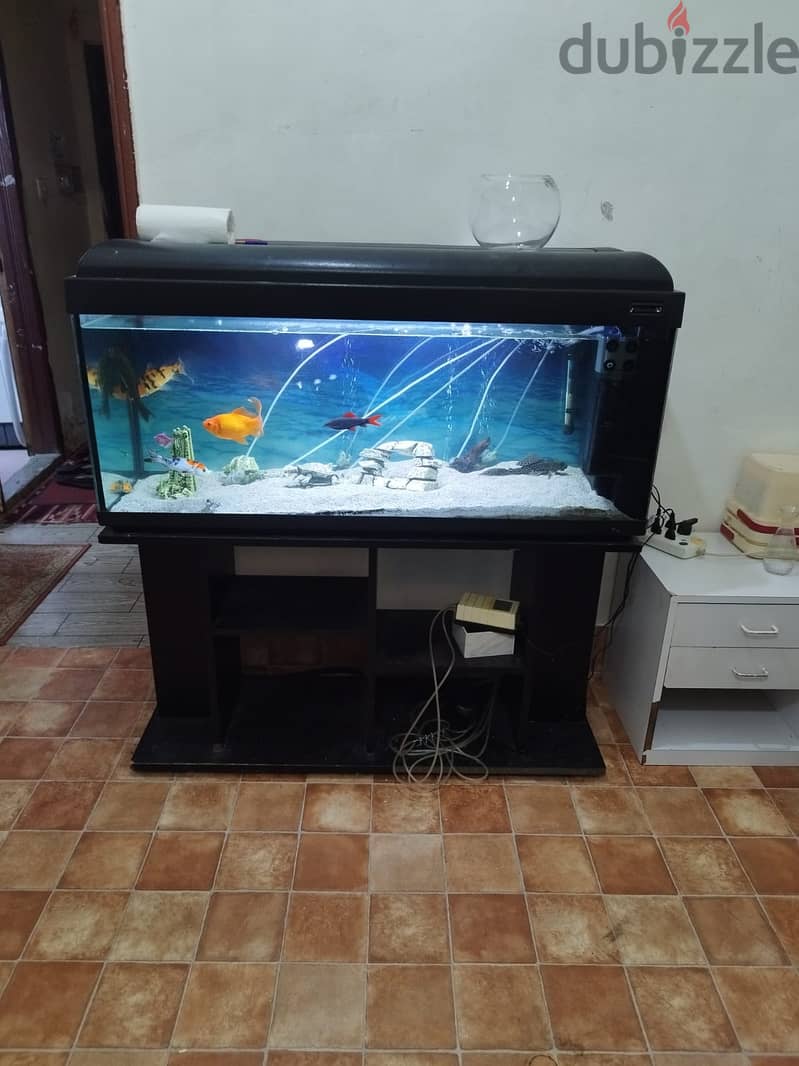 aquraium with fishs  and external filter 40 kwd  mangaf 1