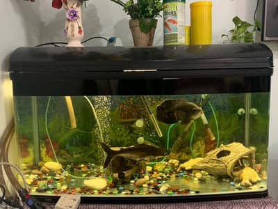 FISH TANK WITH ALL ACCESSORIES AND OIL HEATER