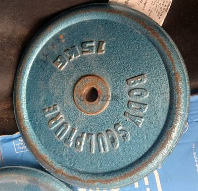 15 kg iron gym plates