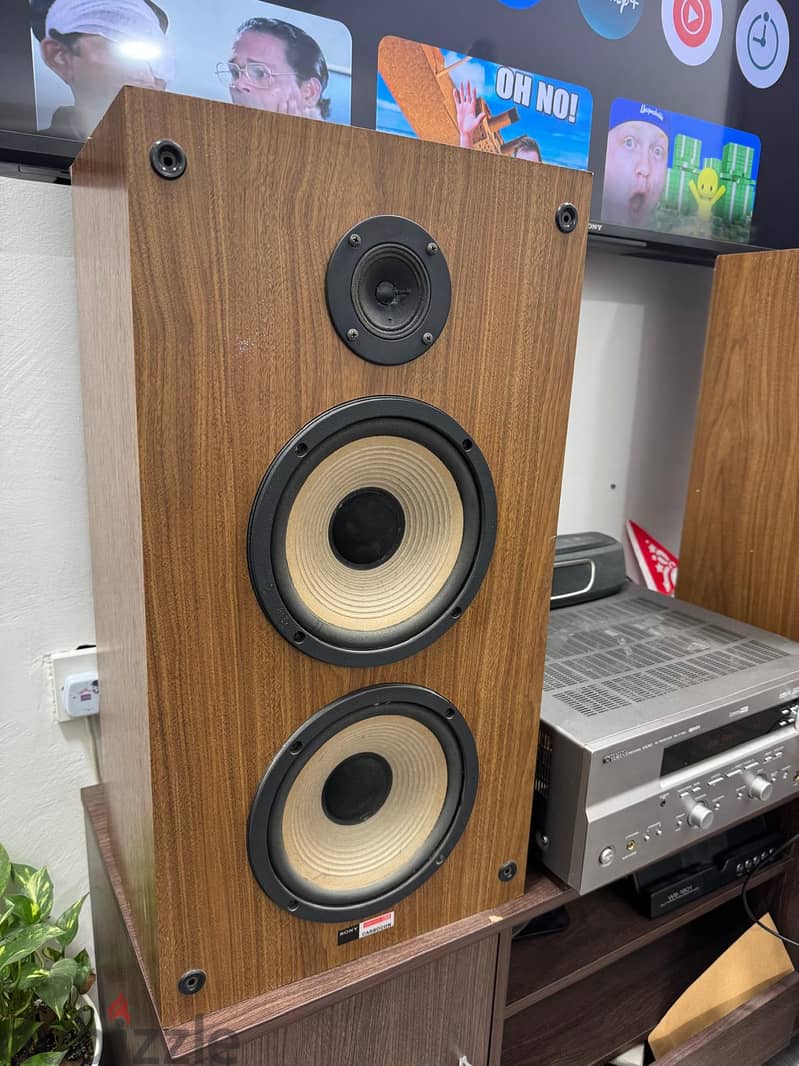 SONY Vintage Speaker System 1250, CARBON 2