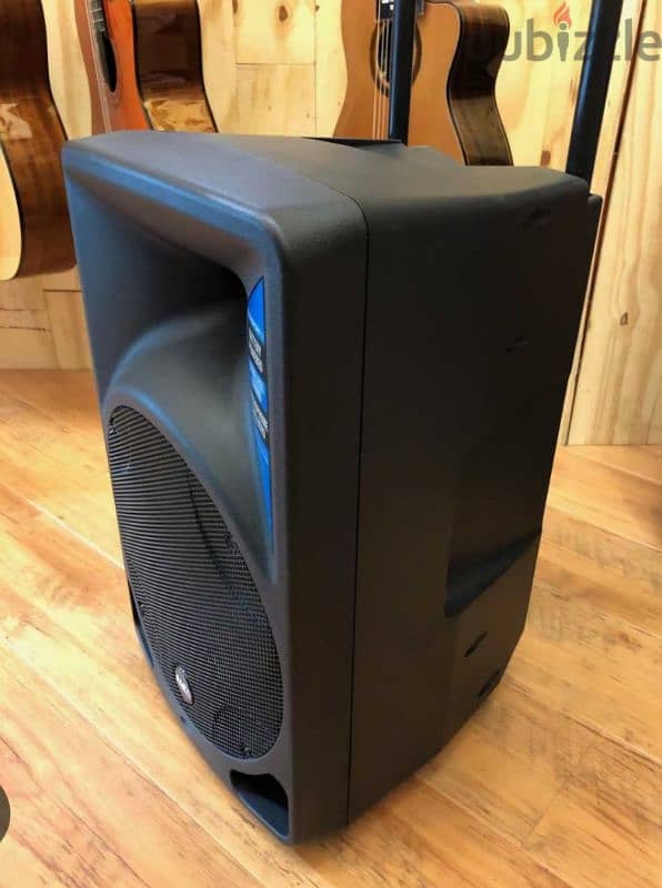 alto professional powerd speaker 2