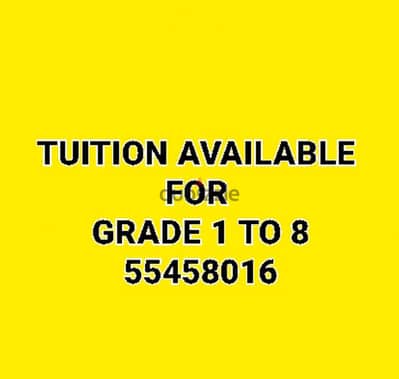 Pakistani Tuition Teacher