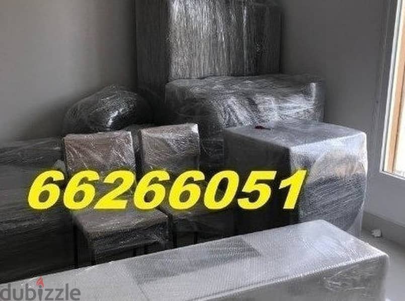 Professional Indian Move& Pack service 2