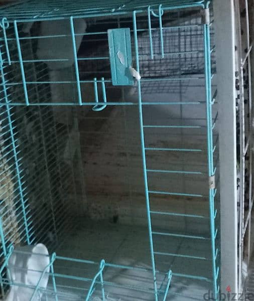 Cage for sale 1