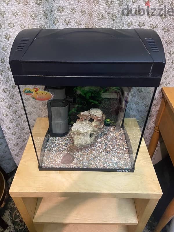 Fish tank for sale 1