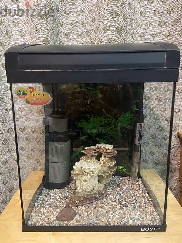 Fish tank for sale 2