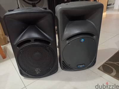 12inch passive speakers