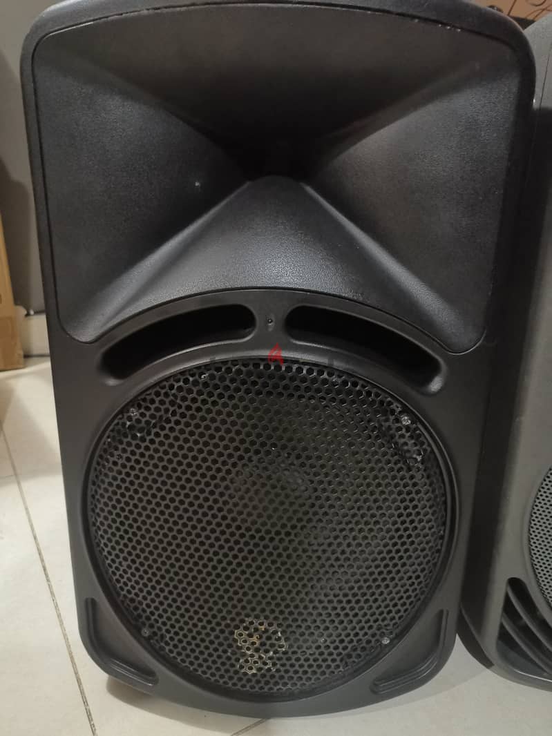 12inch passive speakers 1