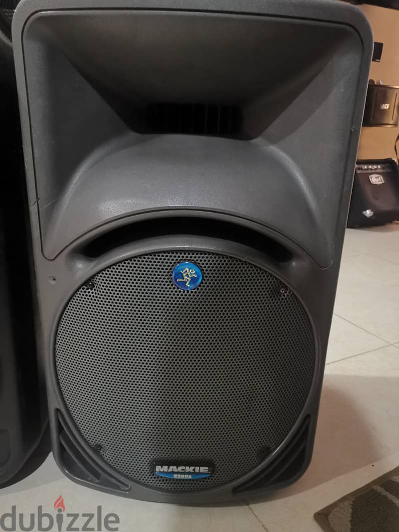 12inch passive speakers 2