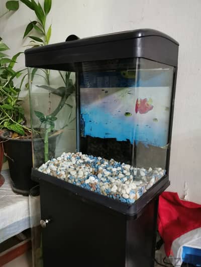 aquarium for sale!