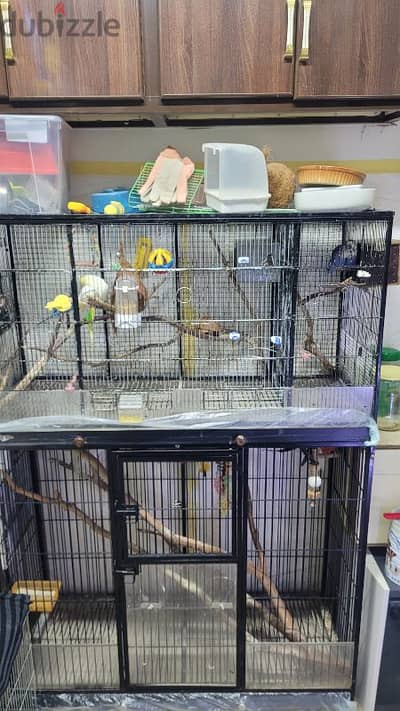 custom made bird cage for sale