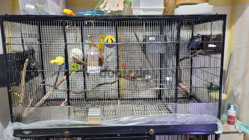 custom made bird cage for sale 1