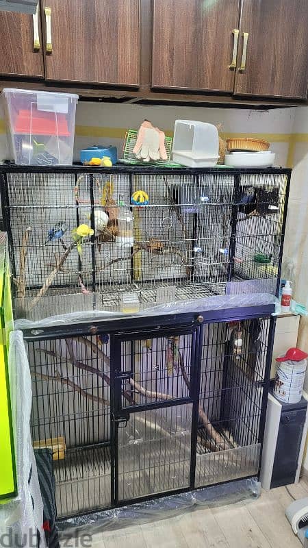 custom made bird cage for sale 2