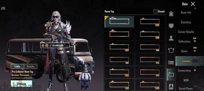 PUBG account