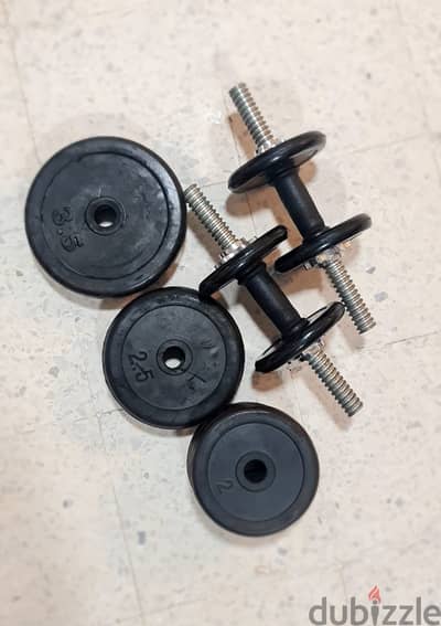 Dumbbells set