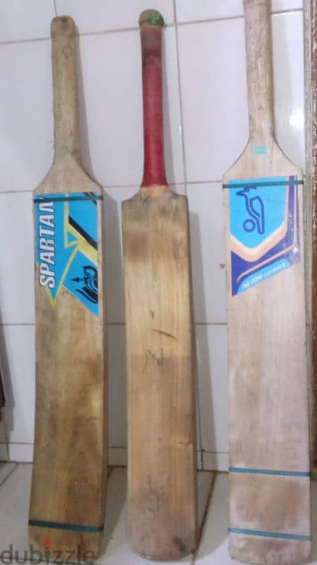 cricket bat 1