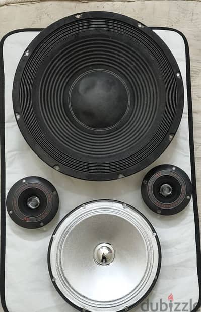 original profesonal speaker and tweeter