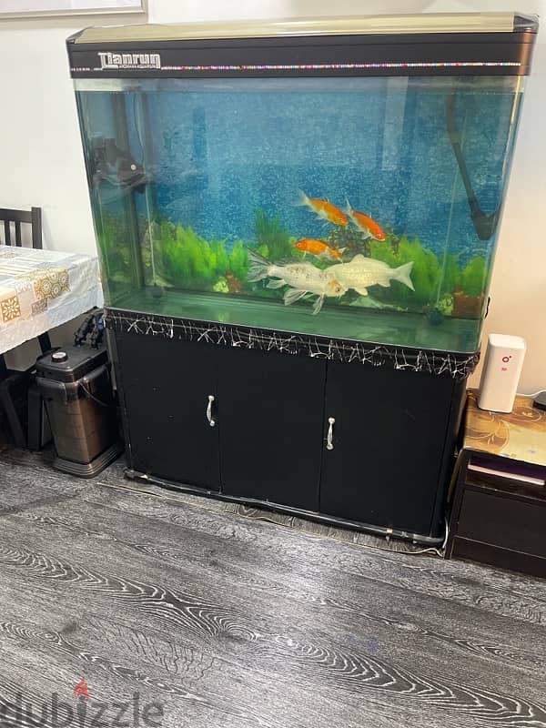 aquarium with full accessories 0