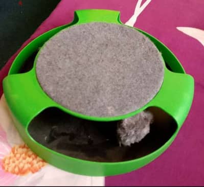 Cat rolling mouse toy