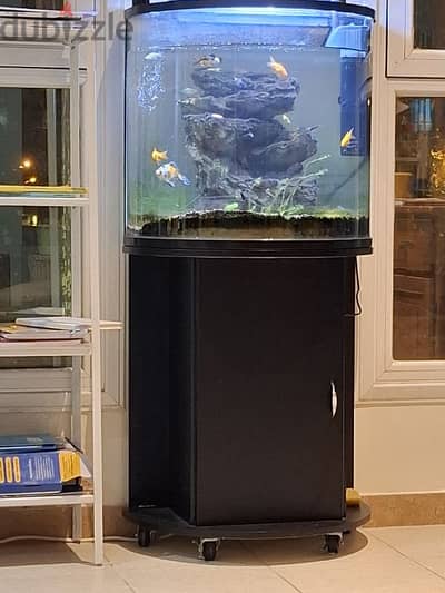 Aquarium