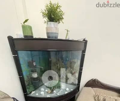 fish tank for sale with all accessories