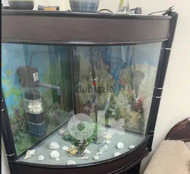 fish tank for sale with all accessories 1