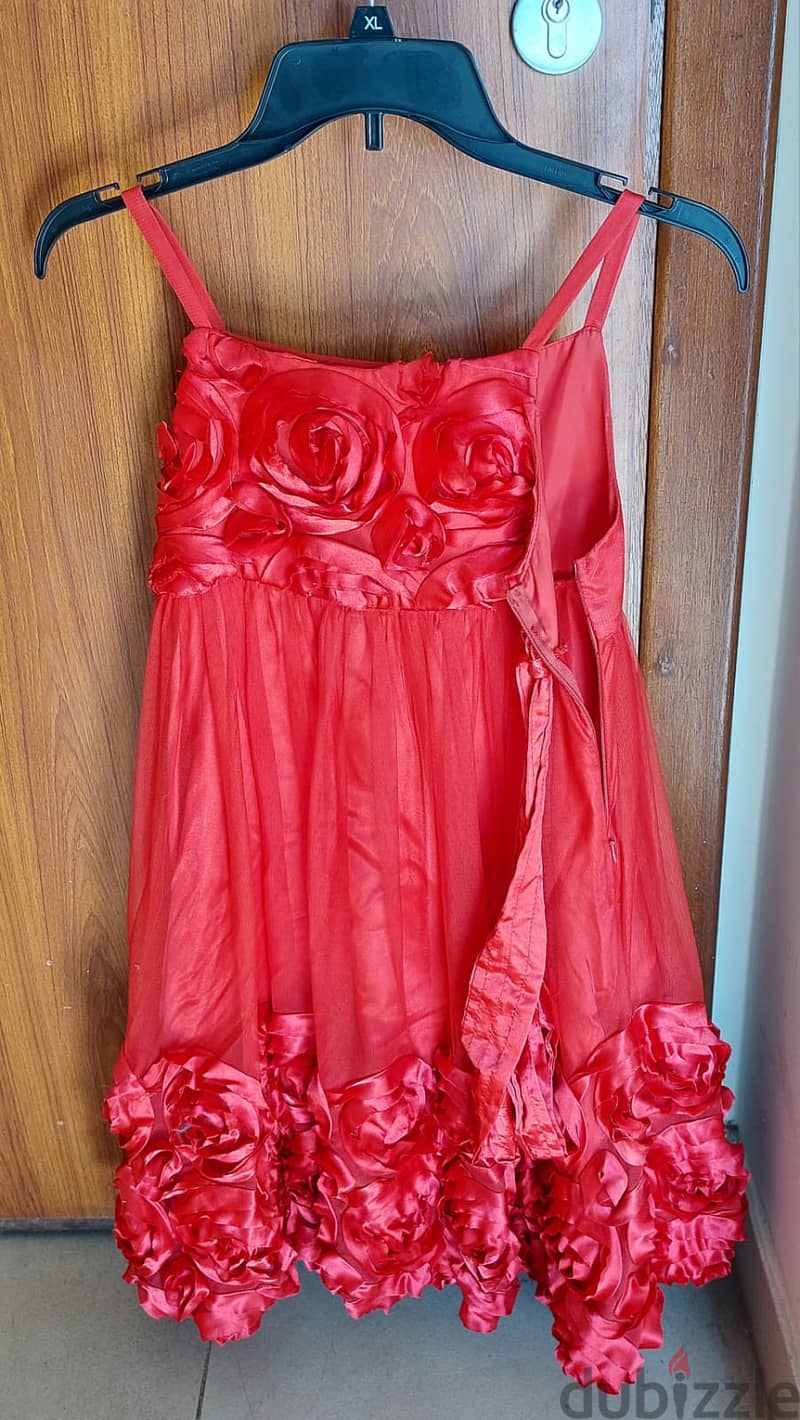 Princess Dress (with crown, braid, wing) and Rose dress for sale 5