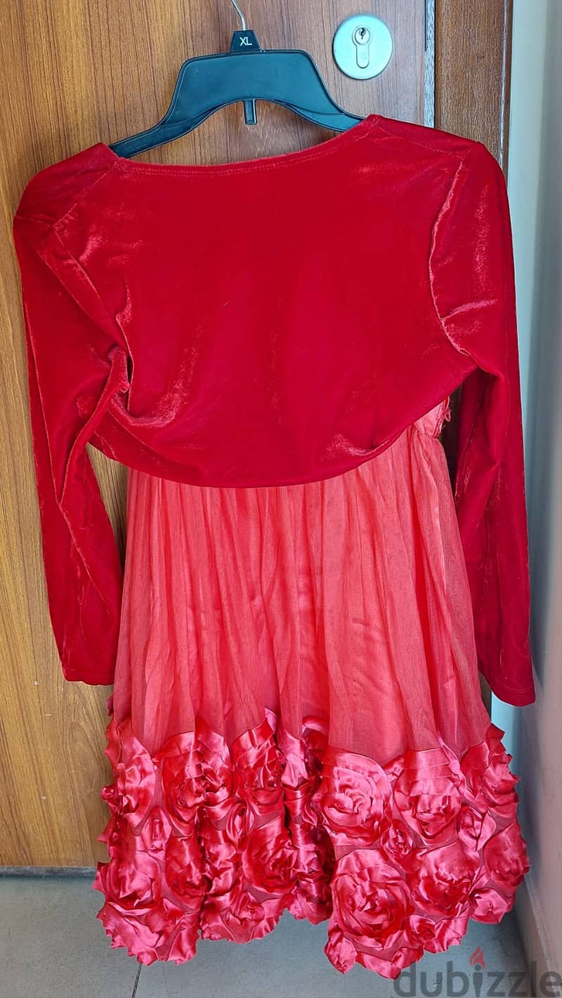 Princess Dress (with crown, braid, wing) and Rose dress for sale 7