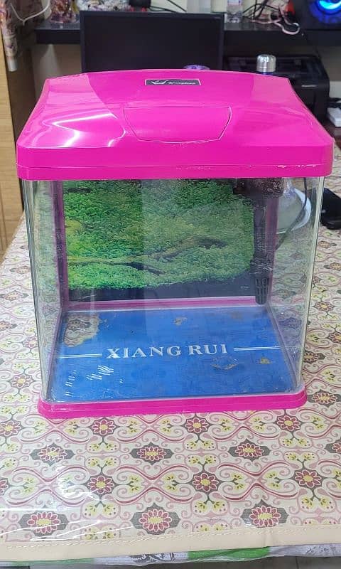 Medium sized fish tank with filter and oxygen pump for sale 1