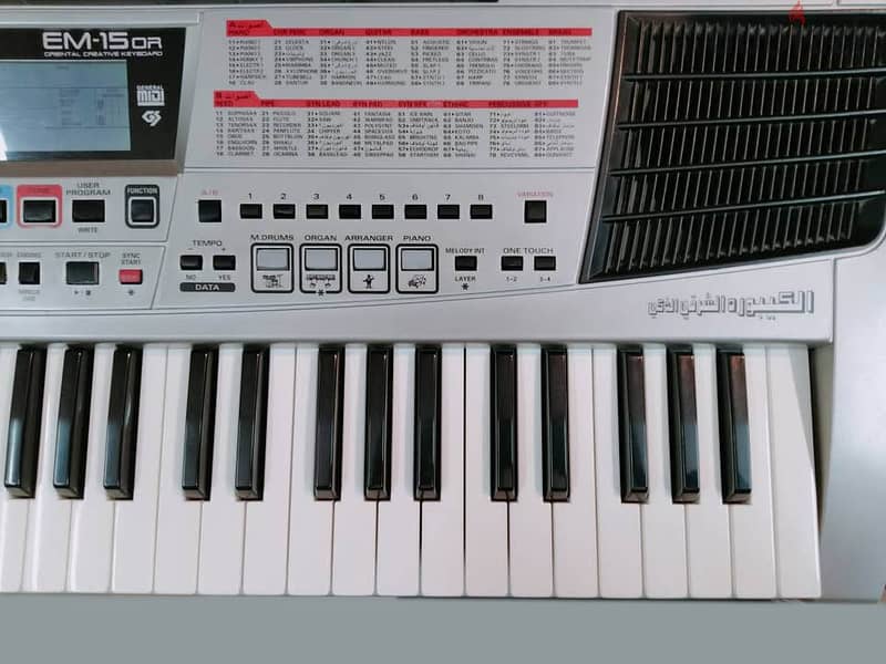 ROLAND EM-15 Oriental Musical Keyboard for sale in mint condition 2