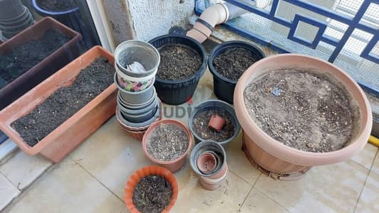 Plant pots of various sizes for sale