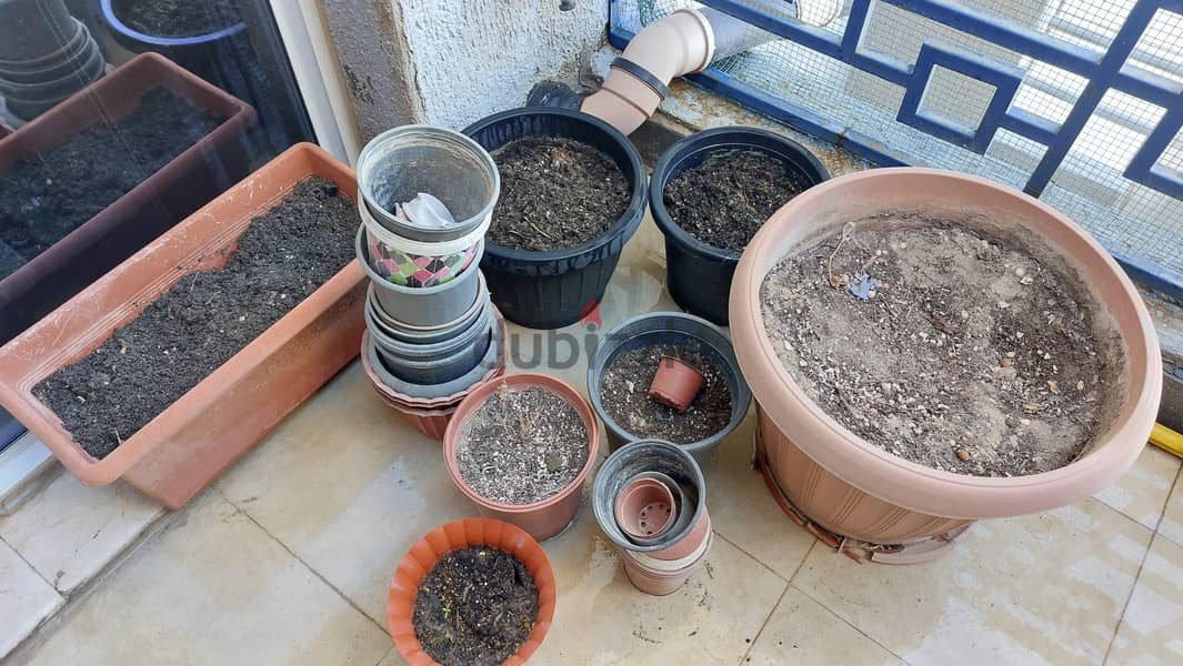 Plant pots of various sizes for sale 0