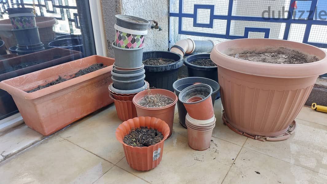 Plant pots of various sizes for sale 1