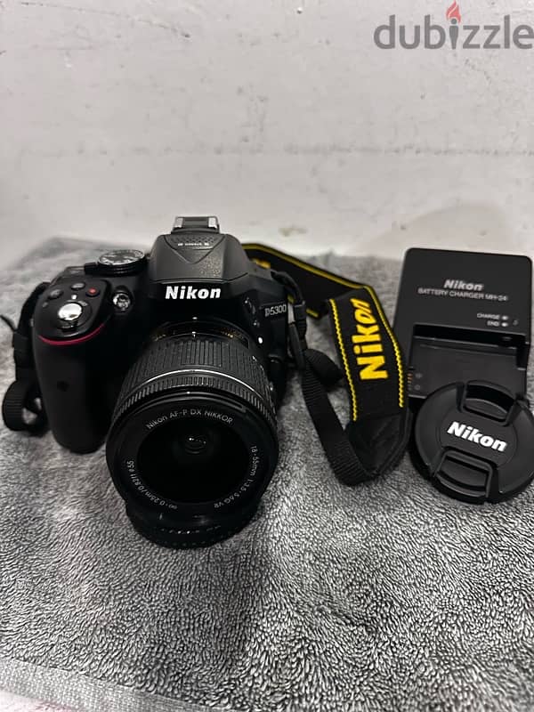 NIKON D5300 0